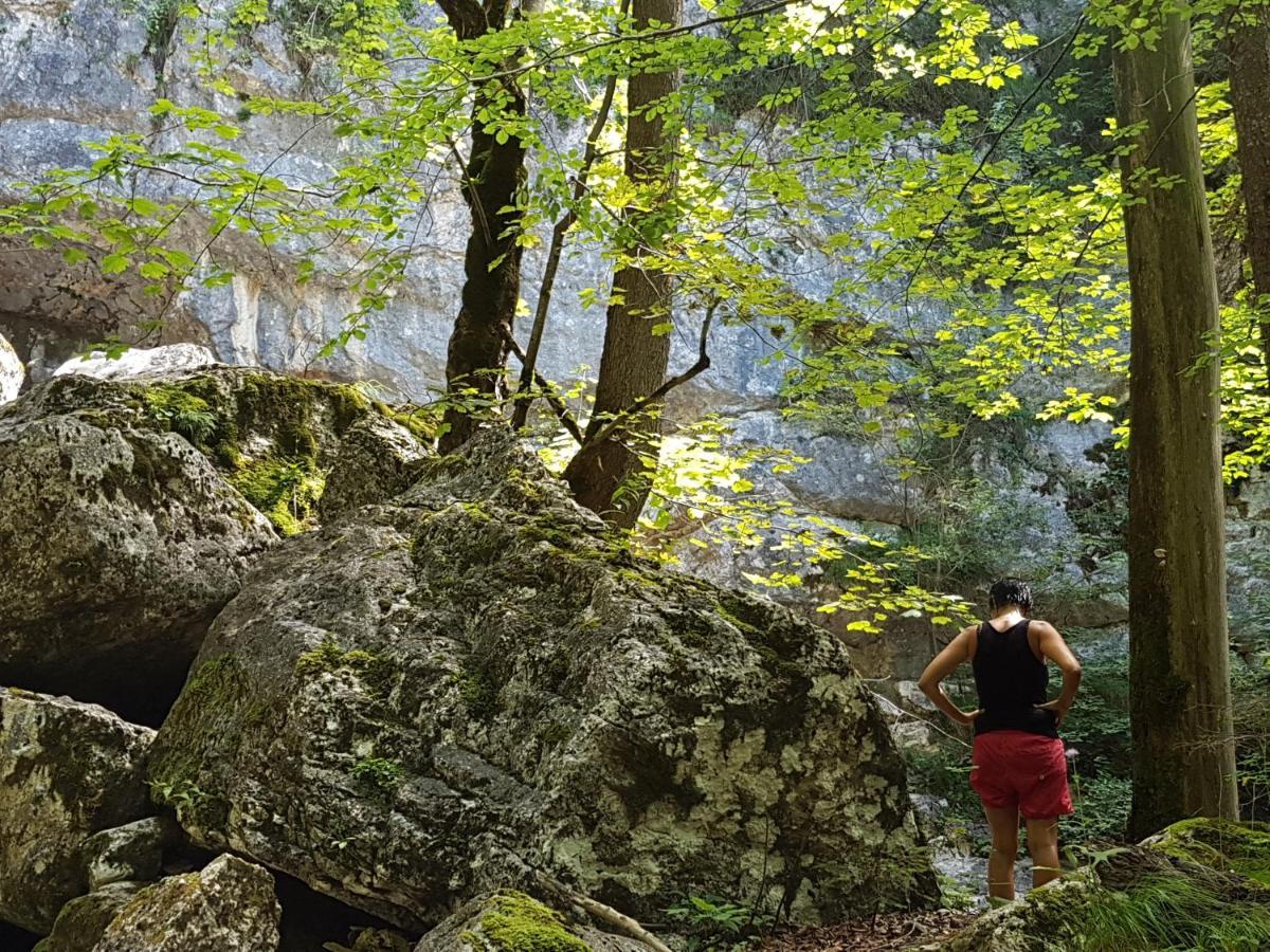 Villa Lageder Erl 외부 사진